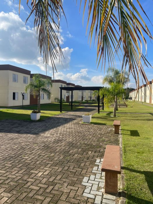 Apartamento - Venda - Eucaliptos - Fazenda Rio Grande - PR