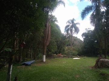 Chcara - Venda - Mandirituba - Mandirituba - PR